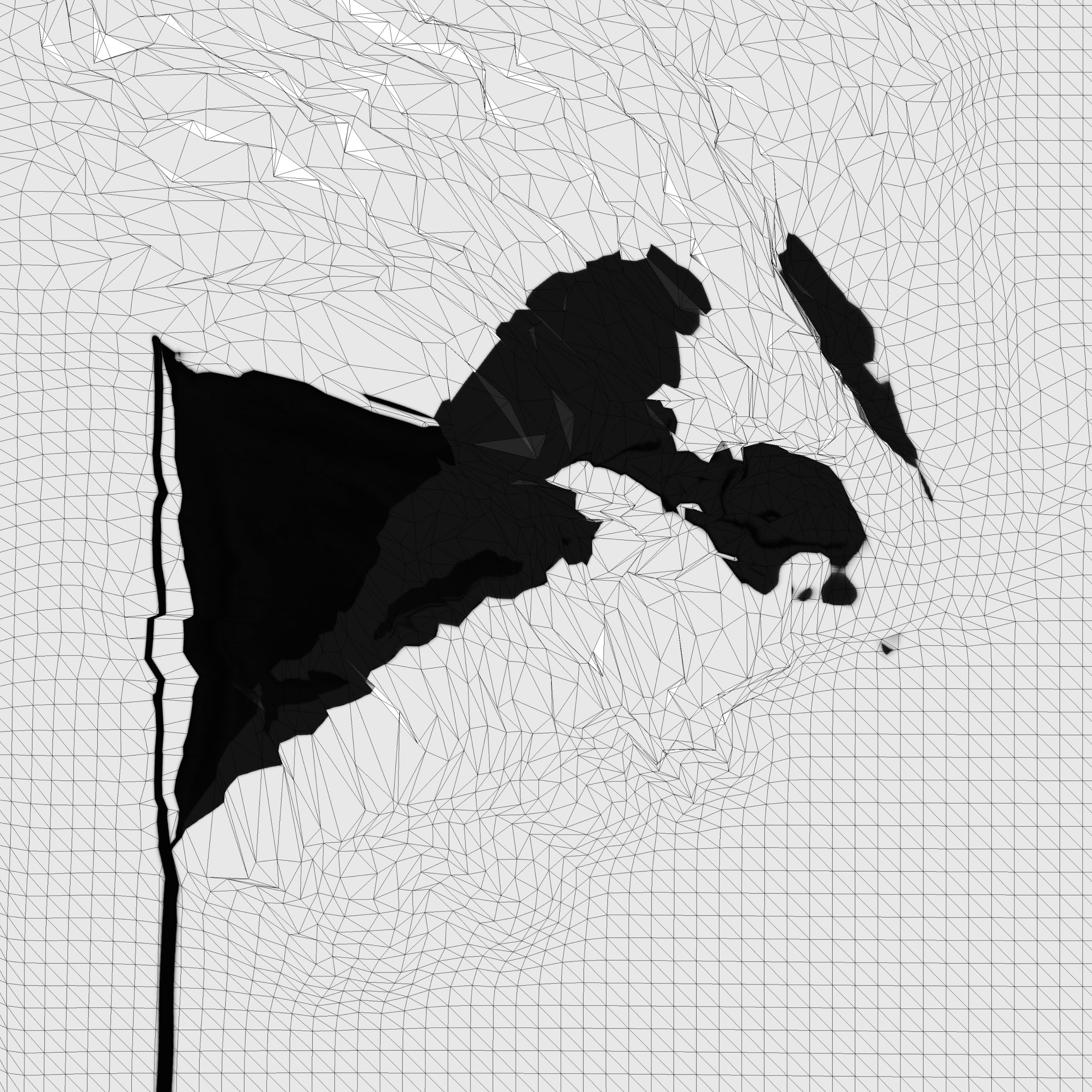 Huge black flag